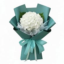 Букет цветов из:  Гортензия в Варениковском